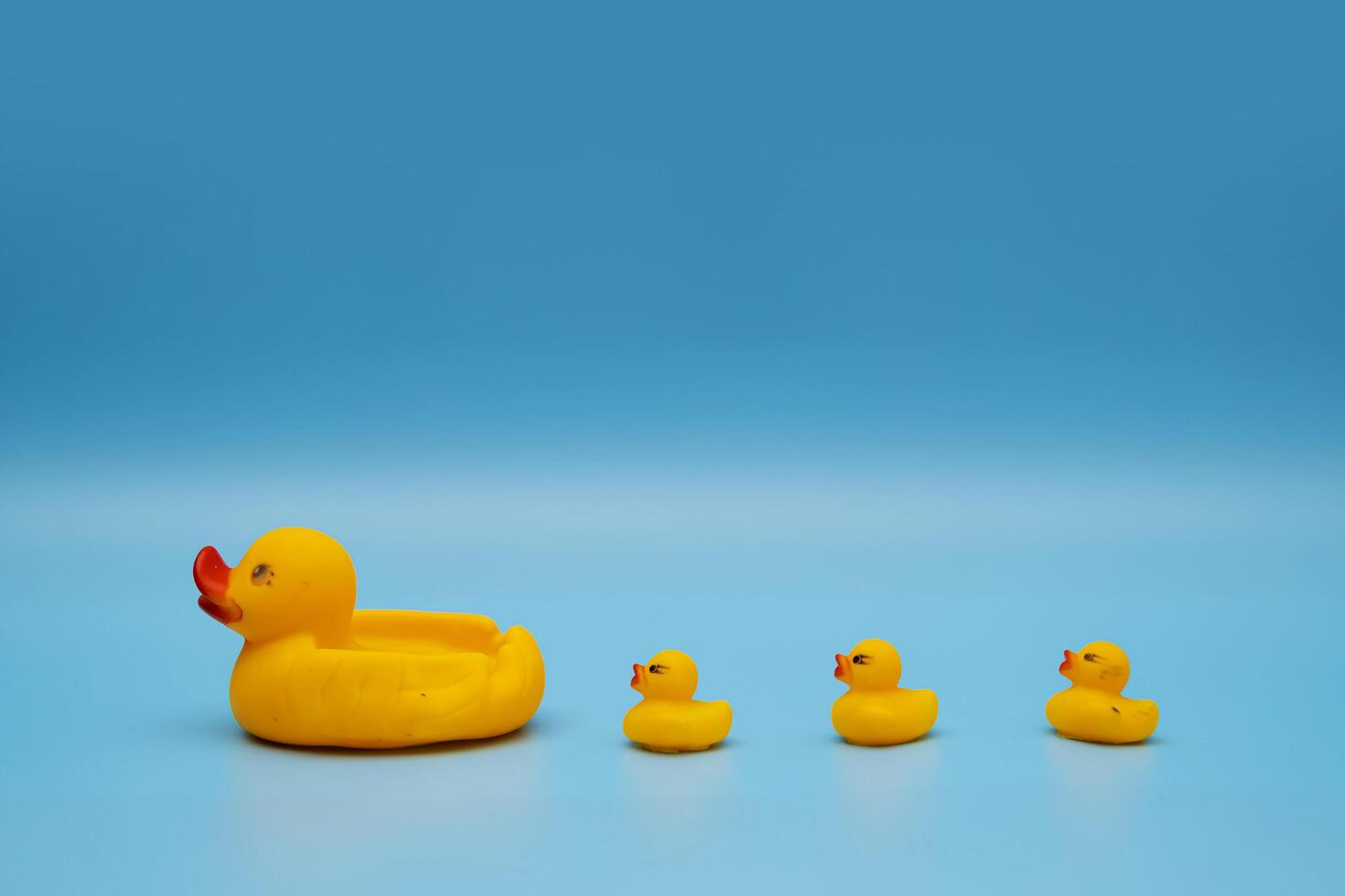 rubber ducks manage to line up on a blue background photo