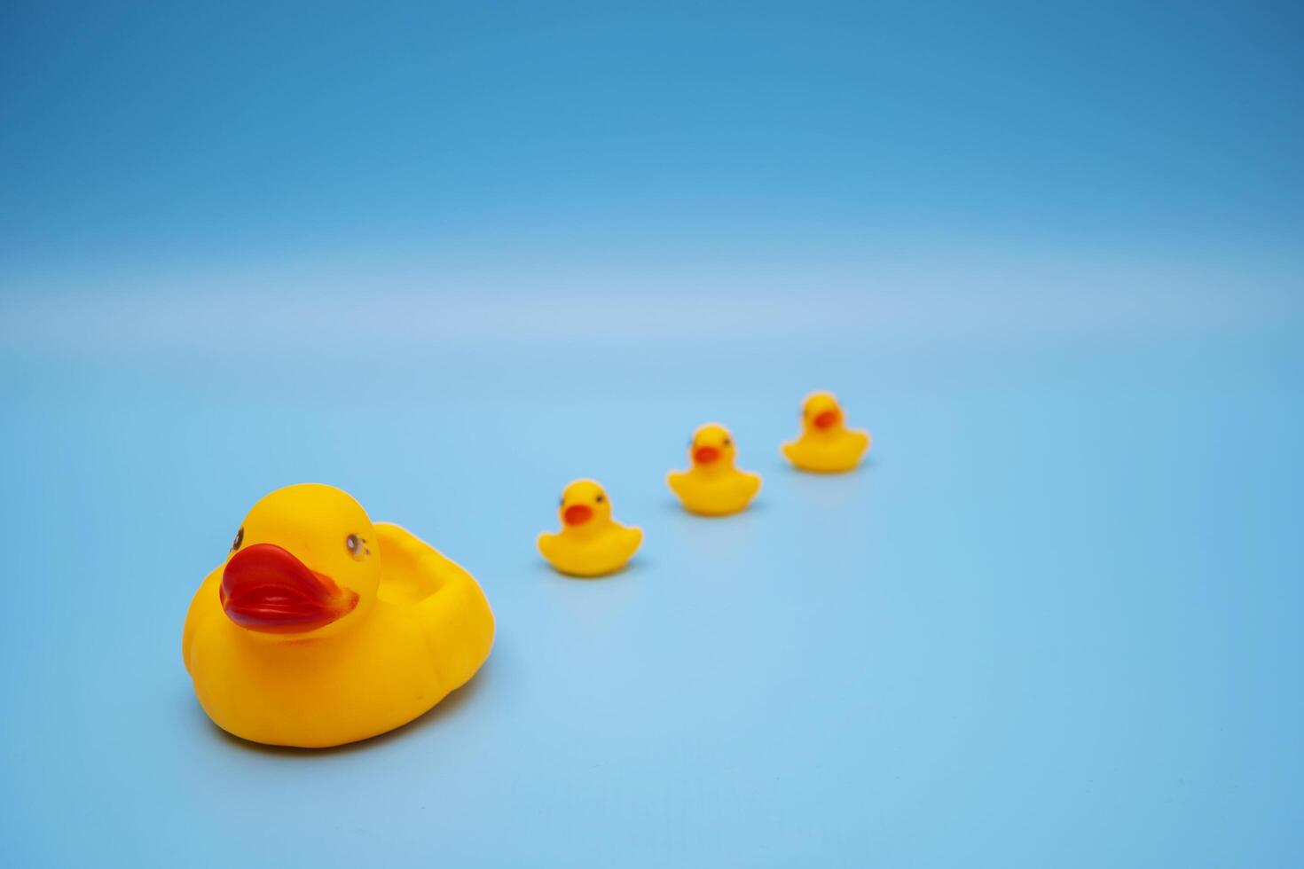 The concept of a smooth follow-up, rubber ducks photo
