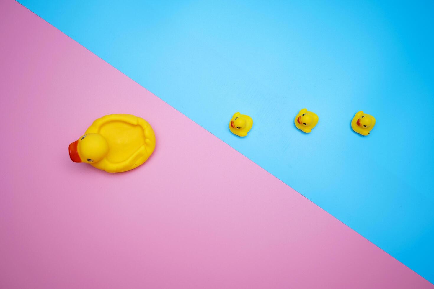 ducks manage to line up on a blue background and have crossed over on pink. photo