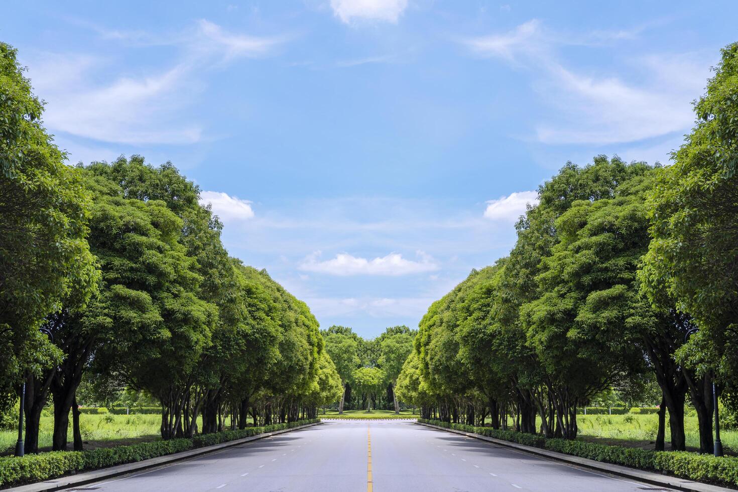 Long road with green grass and trees and background blue sky photo