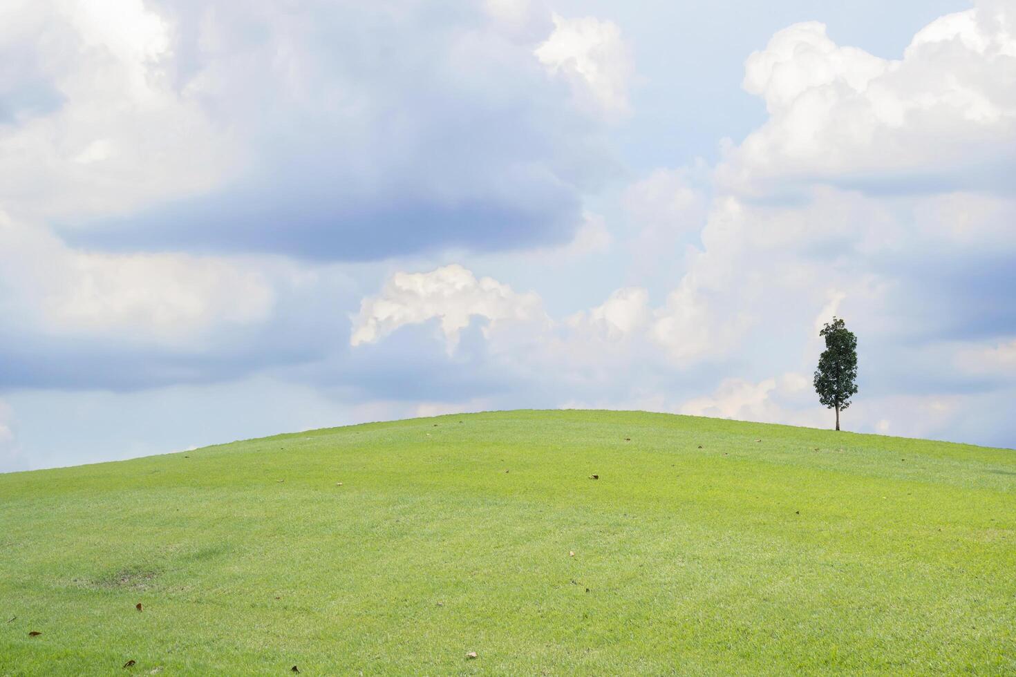 Beautiful green meadow field hill with white clouds and blue sky and tree photo