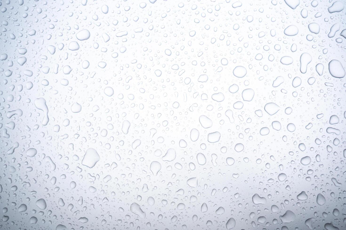Abstract water droplets isolated background with white background. photo