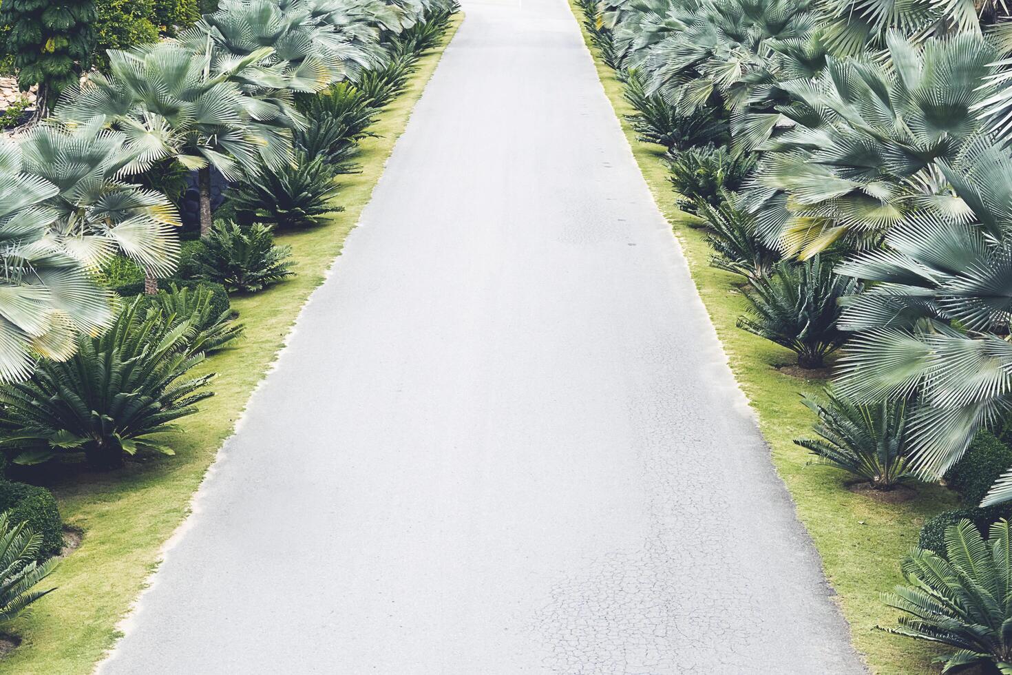 Empty asphalt road and New year 2021 concept. Driving on an empty road in the mountains to upcoming 2021 and leaving behind old 2020. Concept for success and passing time. photo