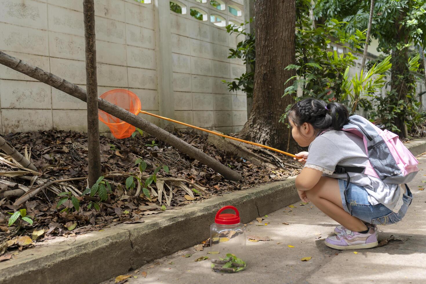 An Asian girl is along with a bug catcher and Catching insects, adventuring in a wide world concept, summer vacation. photo