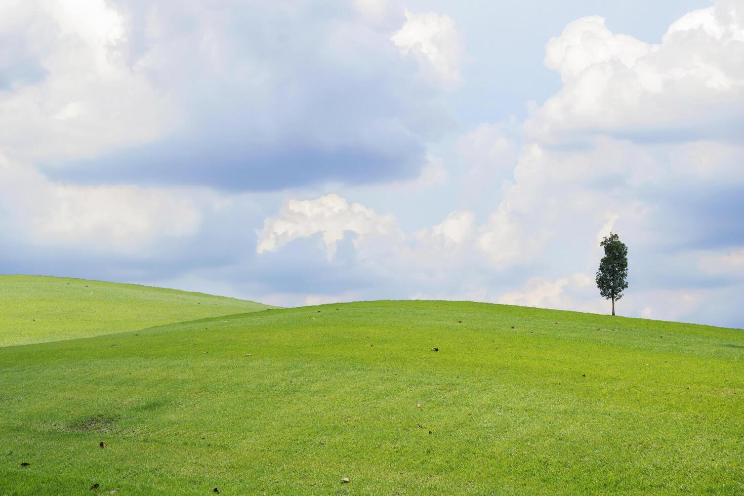 Beautiful green meadow field hill with white clouds and blue sky and tree photo