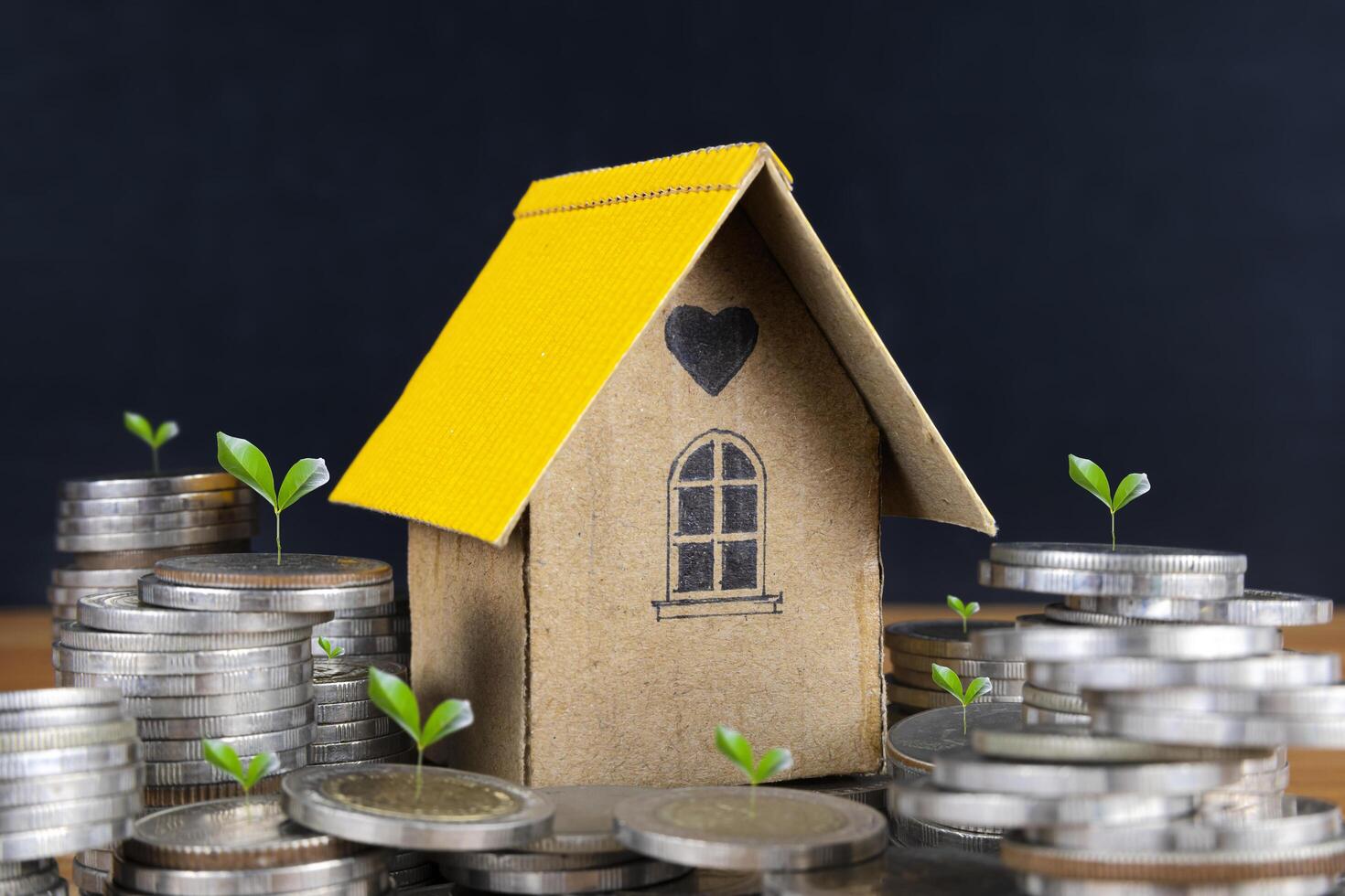 Home model on Coin Saving Ideas for Investing in Mortgage Funds, Finance, and Growing Interest Rate Home Loans. photo