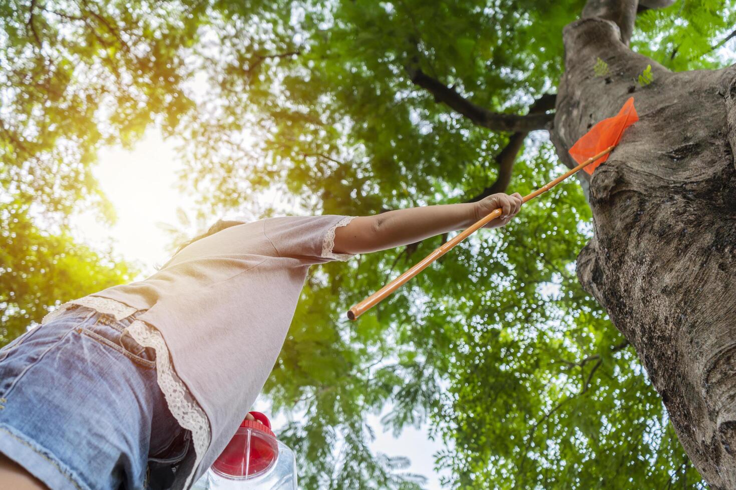 An Asian girl is adventuring in a wide world. Along with a bug catcher and Catching insects photo