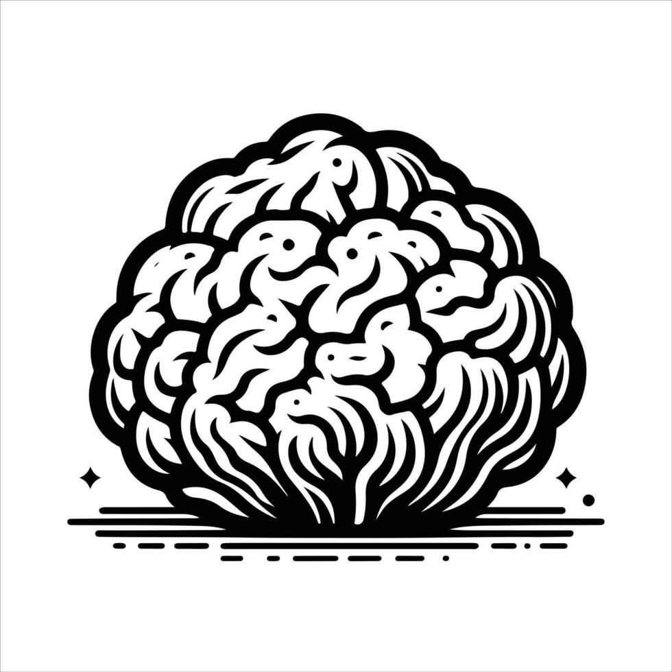 hand-drawn line illustration of truffle mushroom vector
