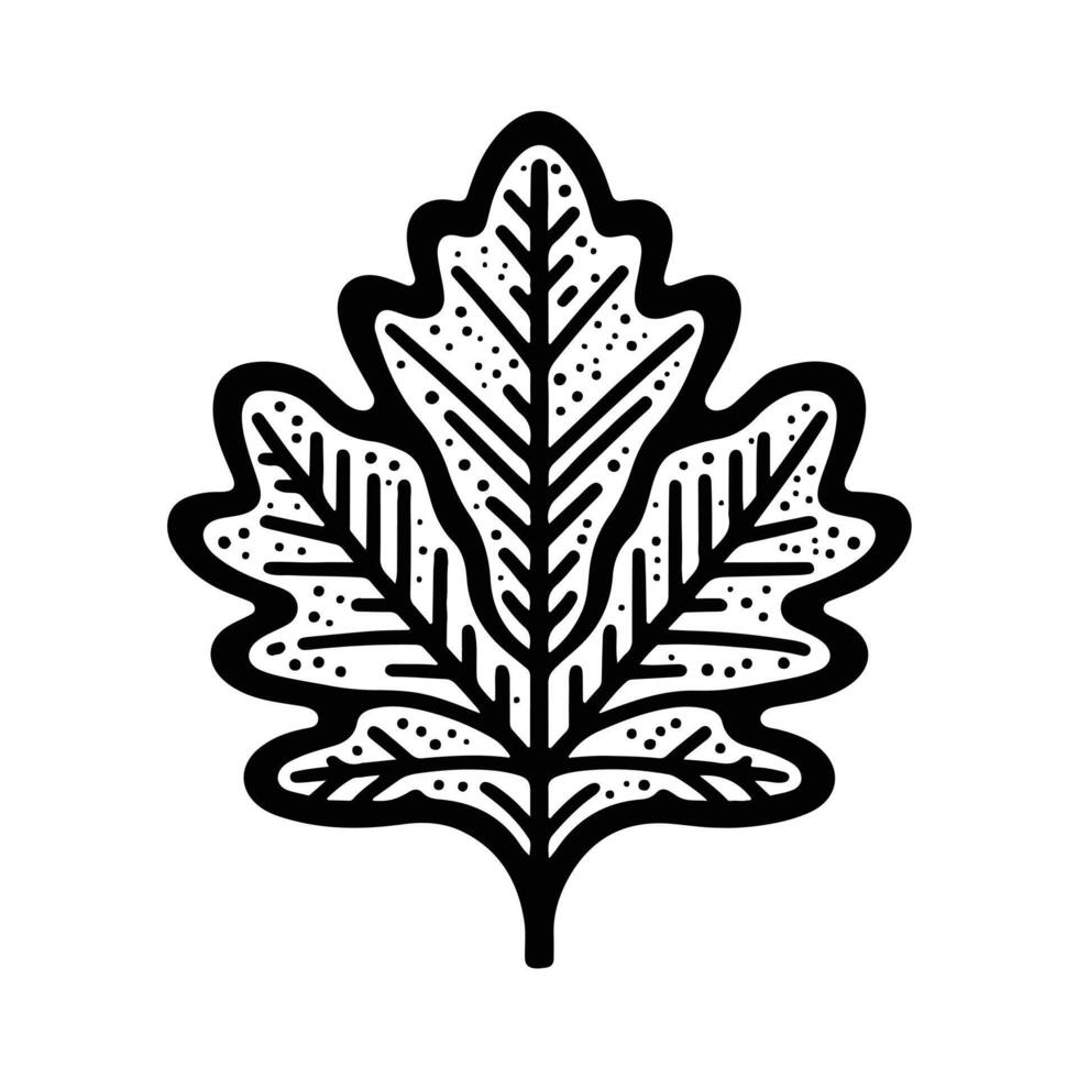 line art illustration of autumn leaf, oak leaf, maple leaf vector