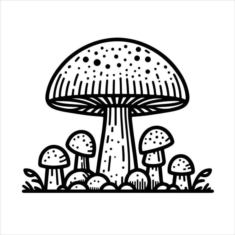hand-drawn line illustration of mushroom vector