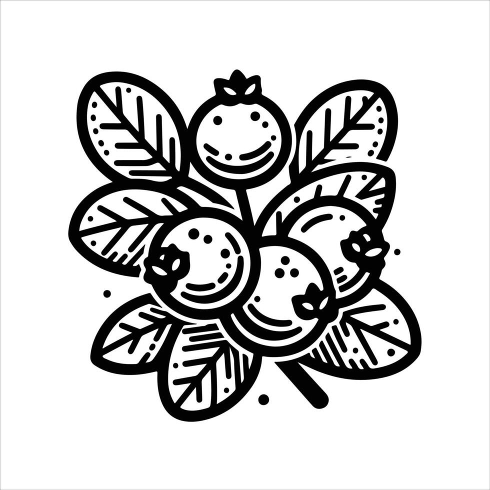 simple celan line art illustration of blueberries or cranberries vector