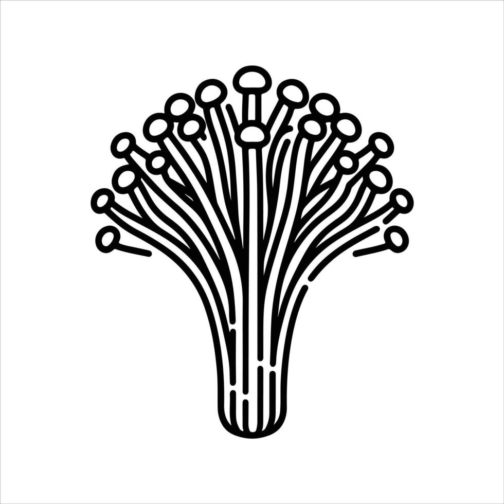 hand-drawn line illustration of enoki mushroom vector