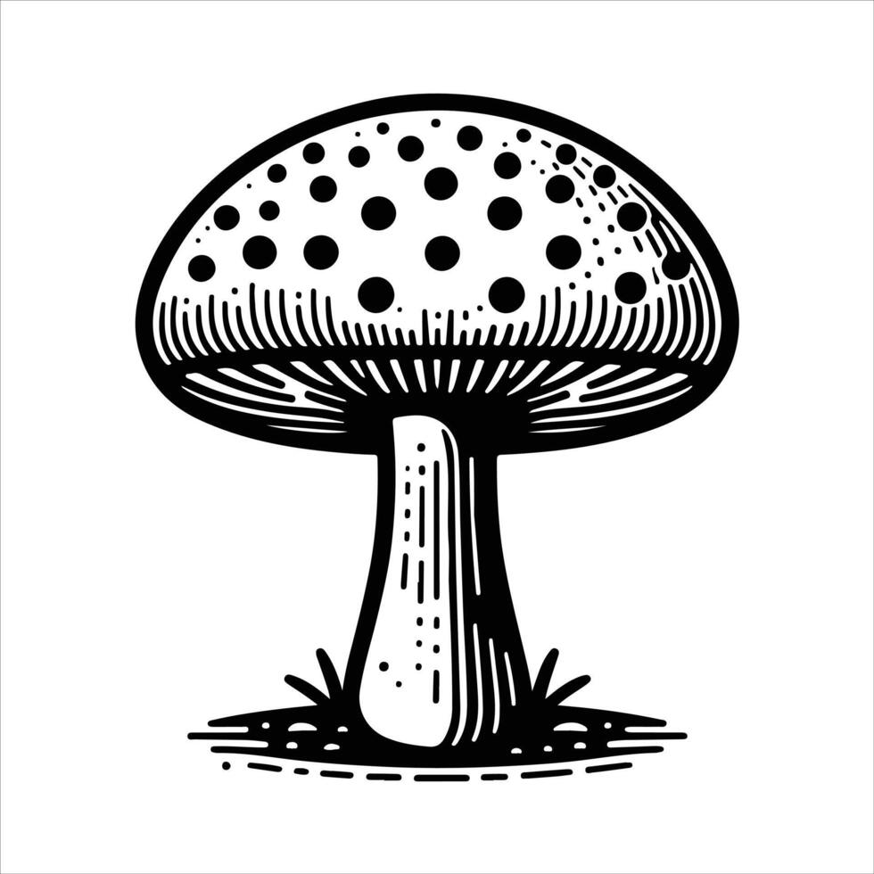 hand-drawn line illustration of mushroom vector