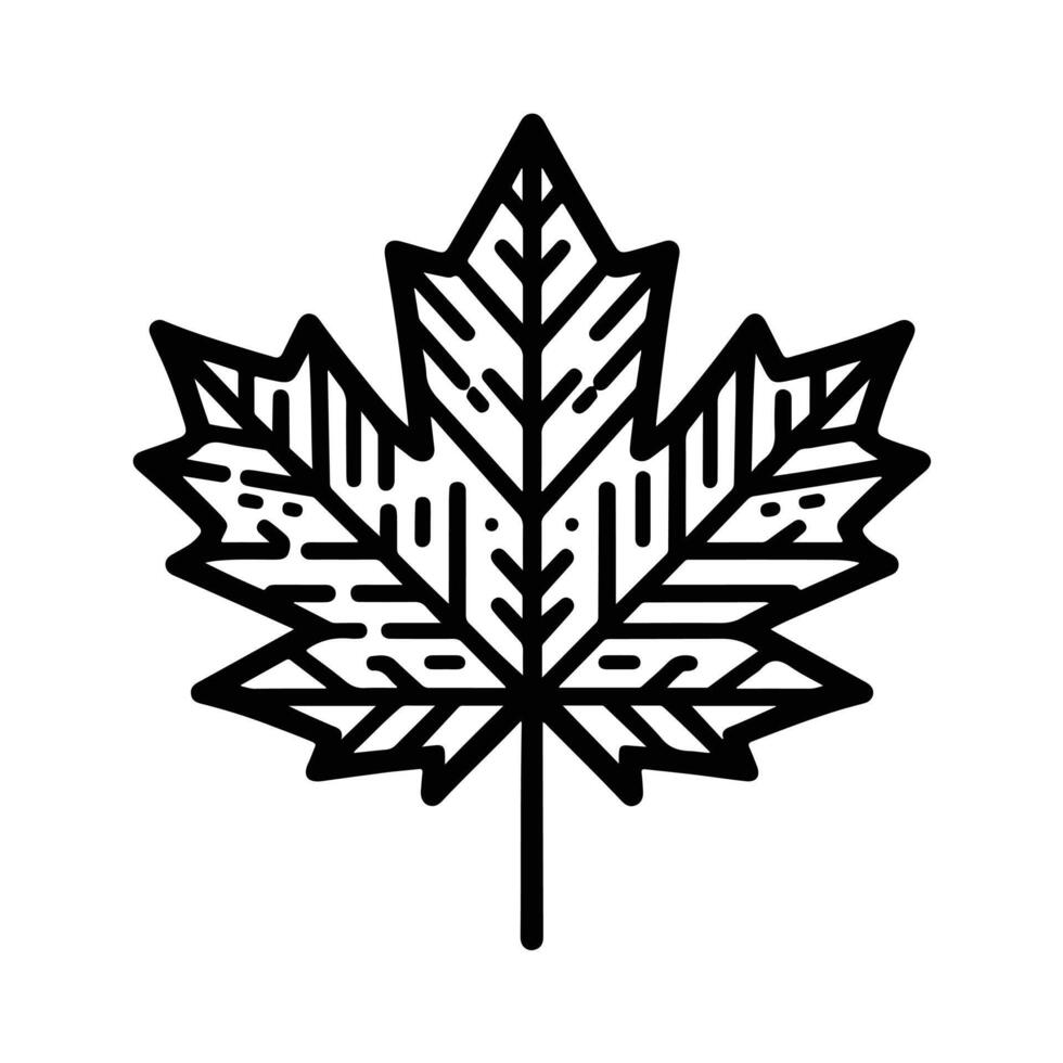 line art illustration of autumn leaf, oak leaf, maple leaf vector