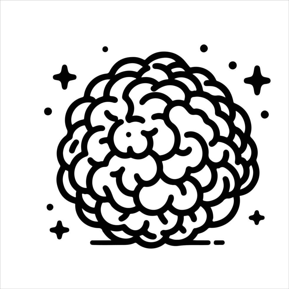 hand-drawn line illustration of truffle mushroom vector