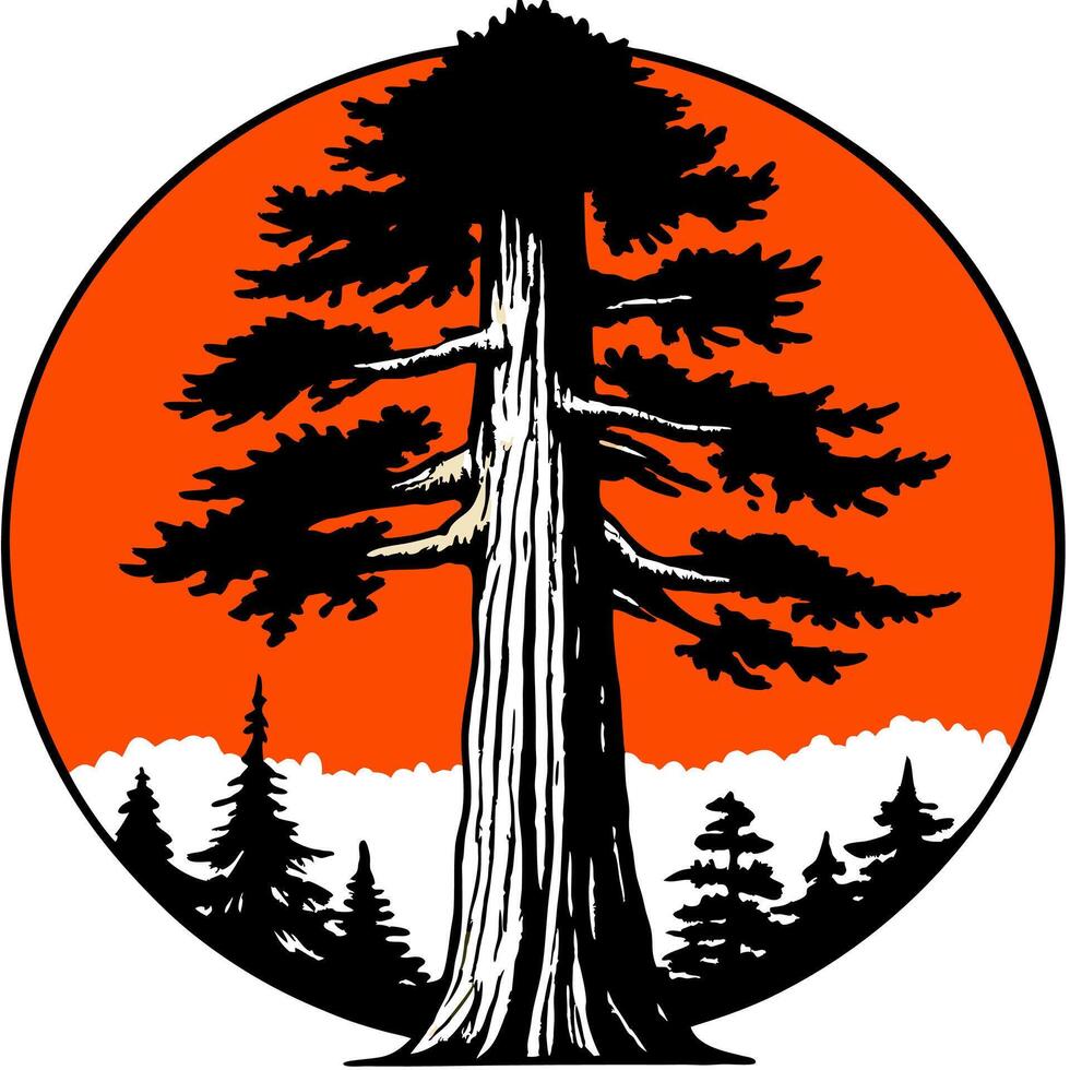 the redwood forest association vector