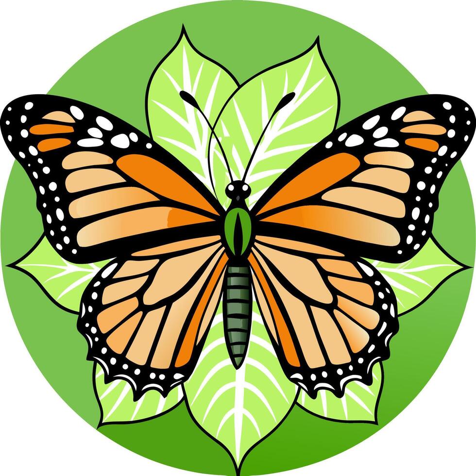 monarch butterfly clip art vector