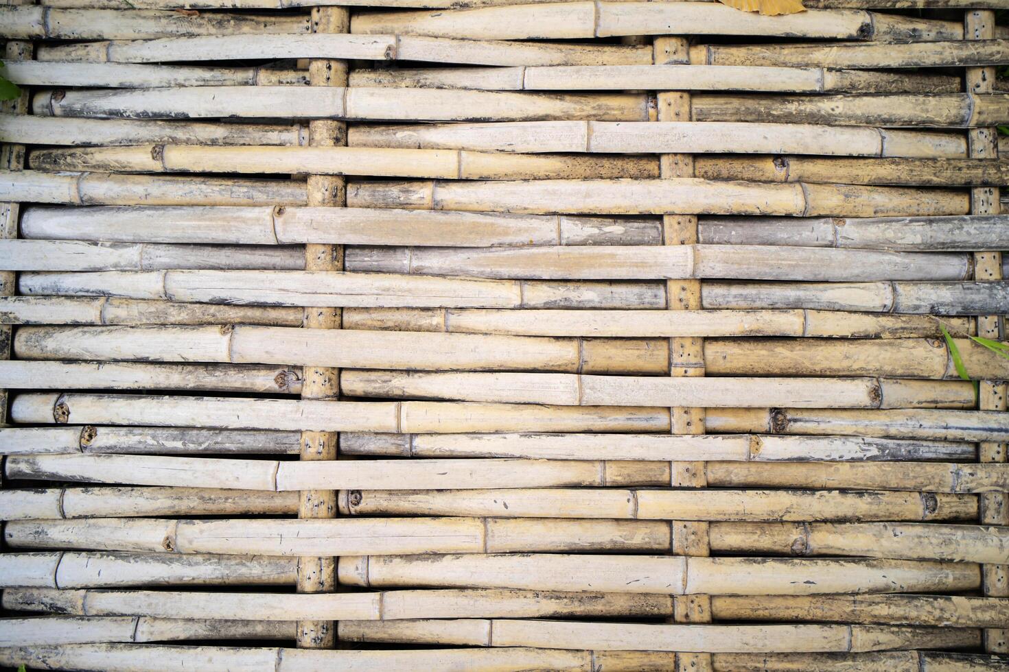 Bamboo sticks wooden background with thread uniting photo