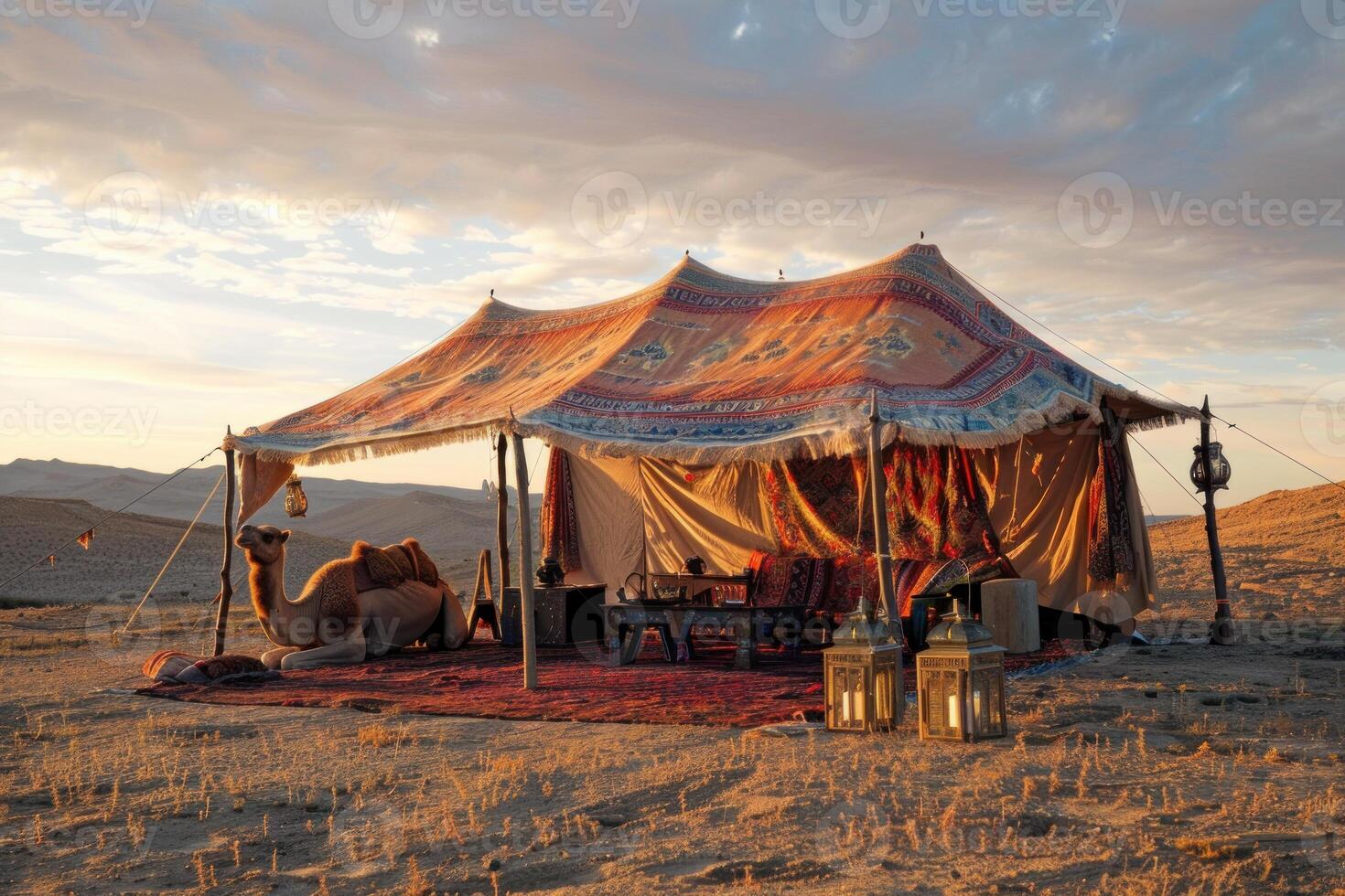 Camel resting outside traditional bedouin tent in the sahara desert at sunset photo