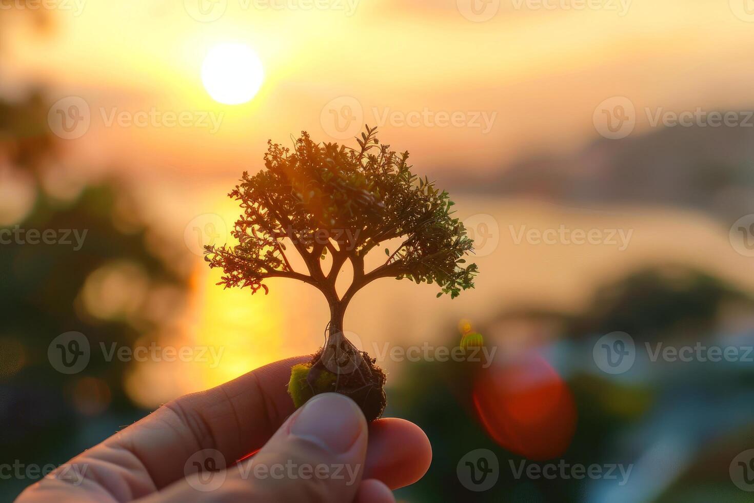 Hand holding miniature tree at sunset photo