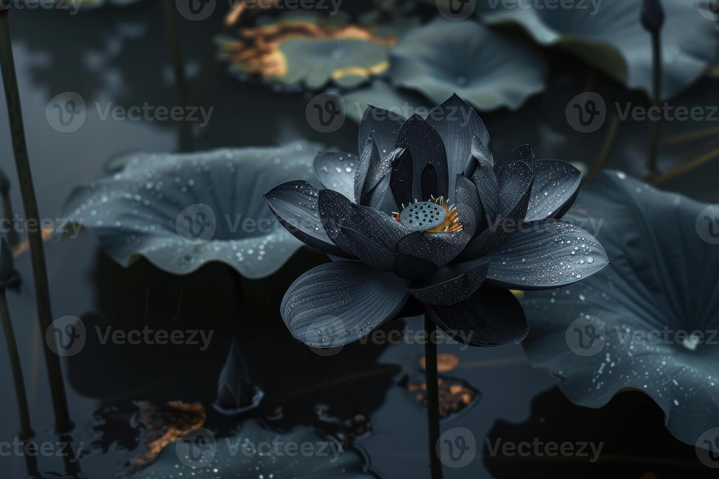 Enchanting Black lotus flower in dark. Generate Ai photo