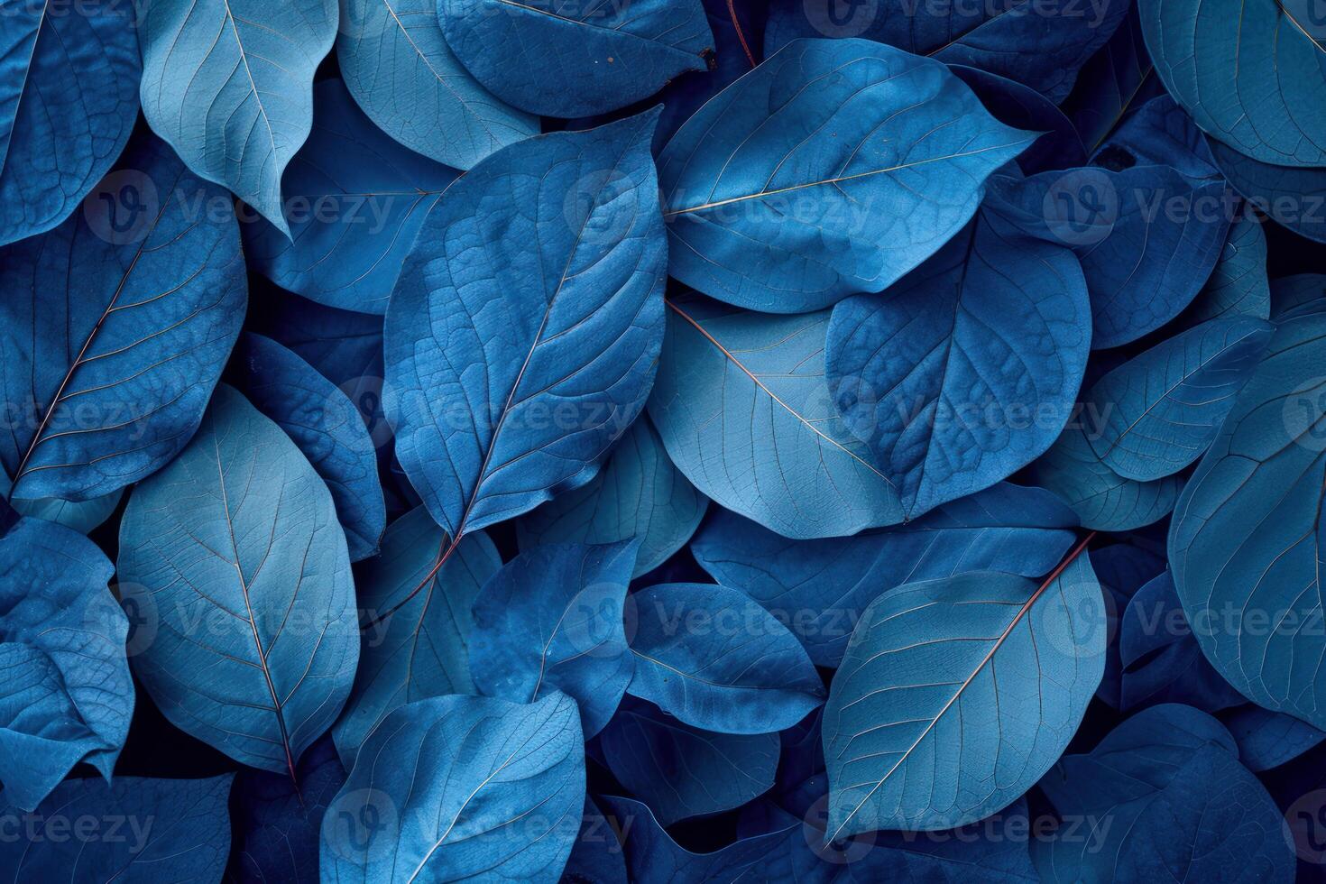 Full frame of leaves with a deep blue color tone, creating a natural but artistic background photo