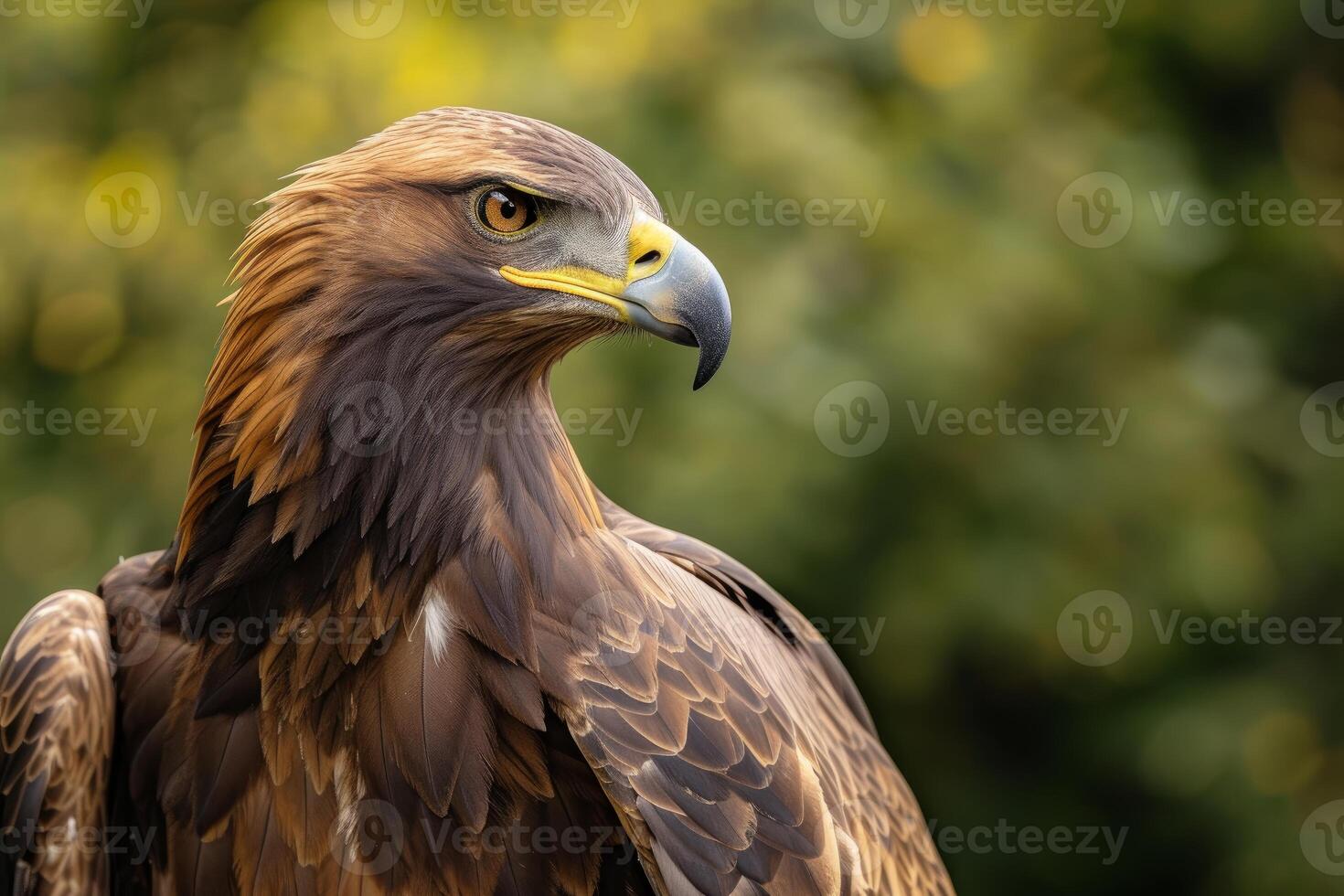 Portrait of a golden eagle with sharp focus on its piercing eyes set against a blurred natural background photo