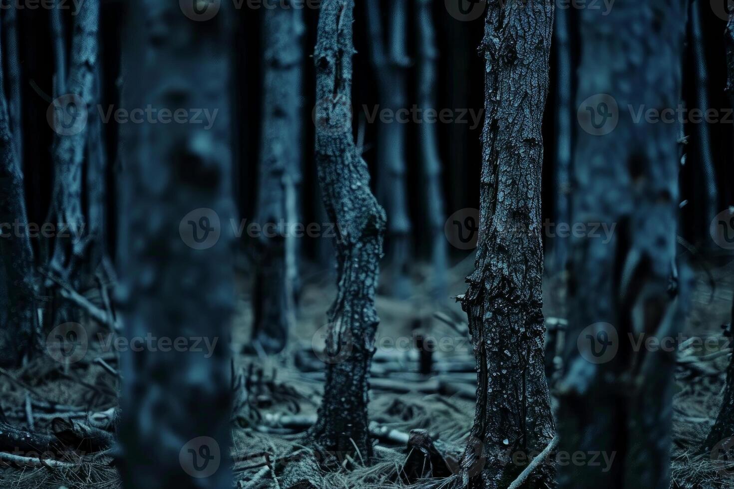 Mystical blue forest at twilight photo
