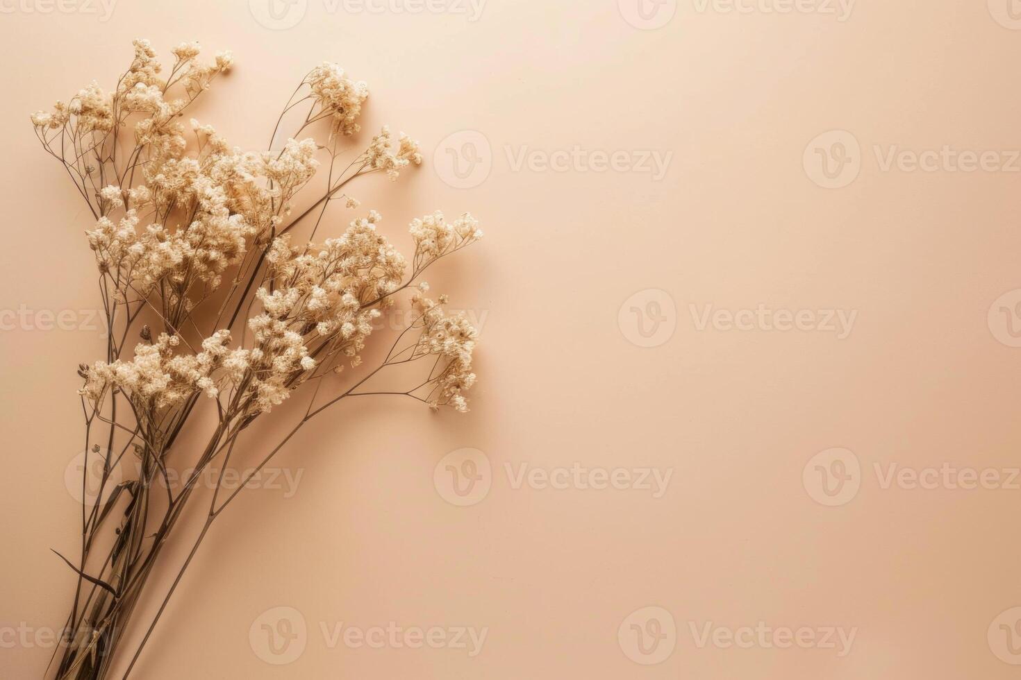 Understated Beige minimalist background with dry flowers. Generate ai photo
