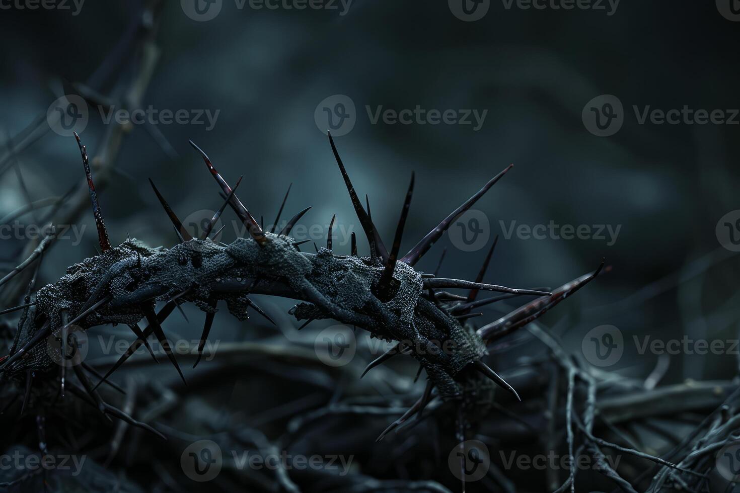 Dark crown of thorns closeup photo