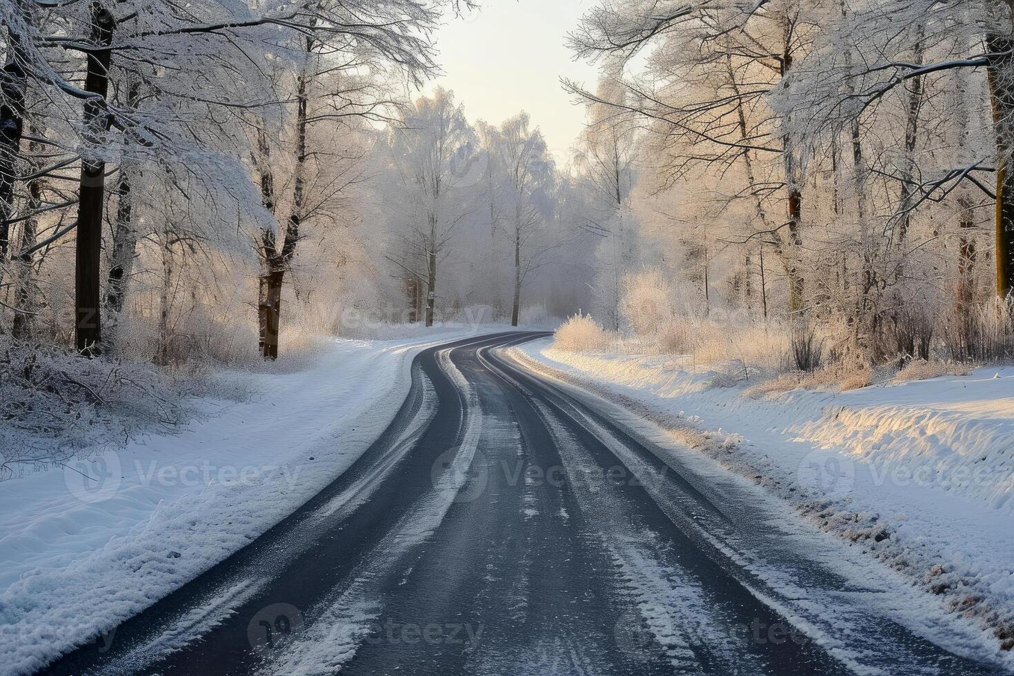 Curving road blanketed with snow flanked by frost-covered trees at sunrise photo