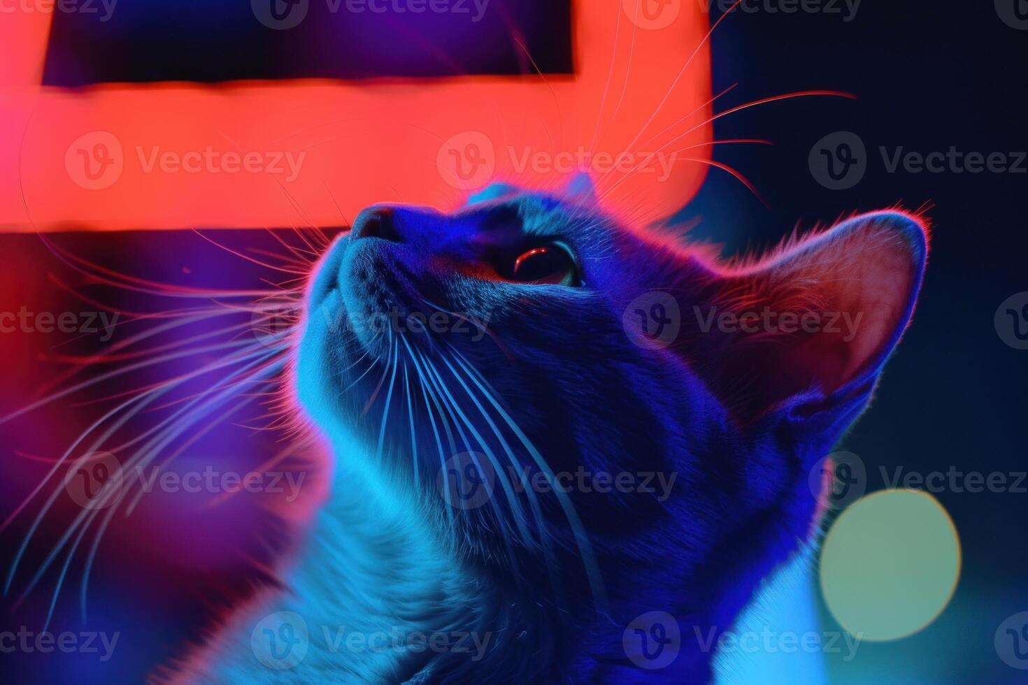 Neon dreams portrait of a cat bathed in colorful light photo