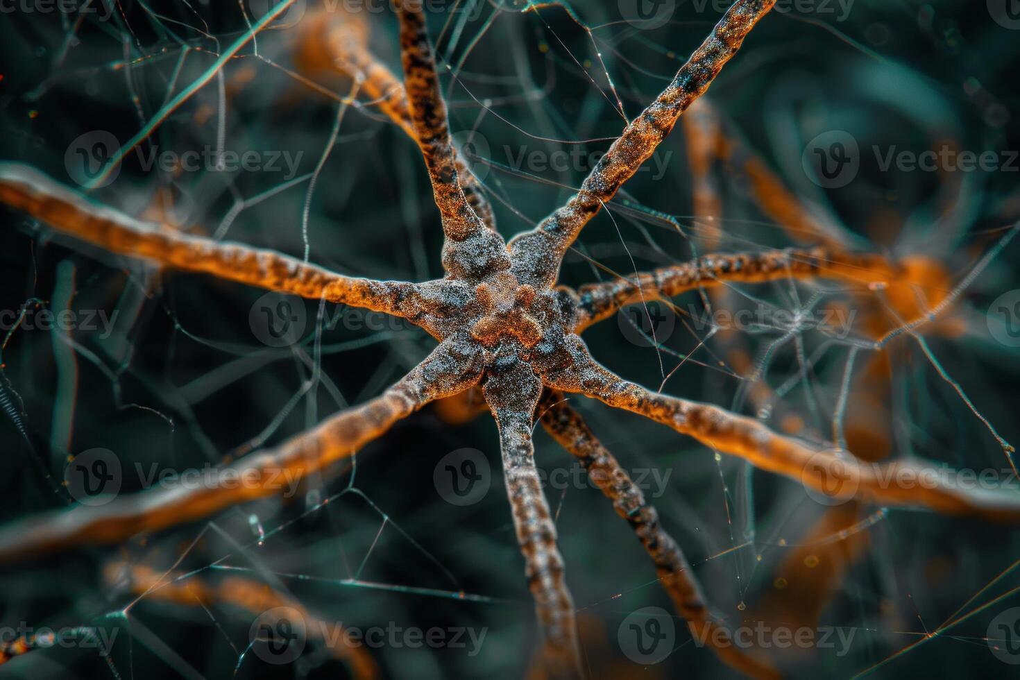 Macro shot of a dewcovered spider web highlighting nature's complexity photo