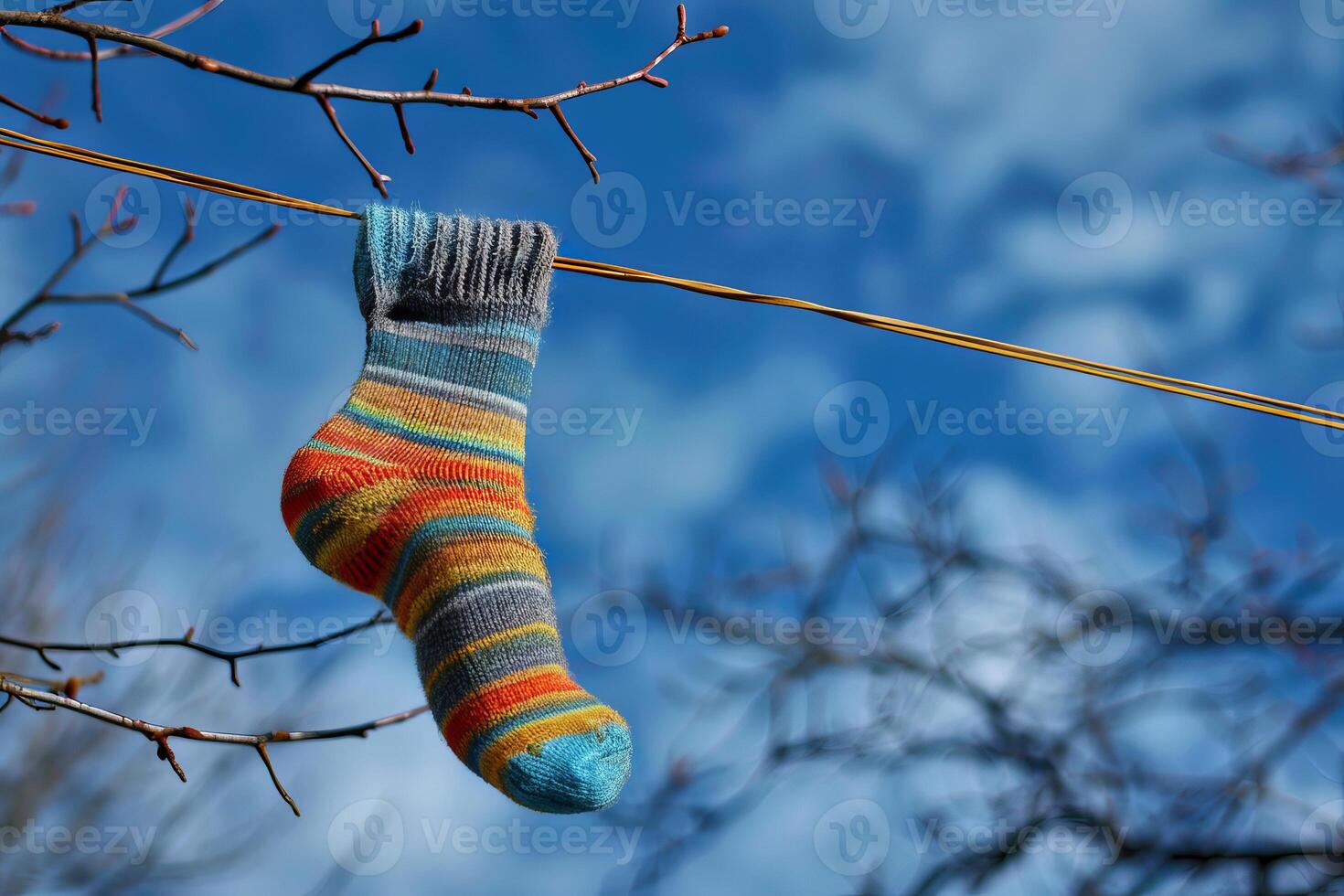 Lonely sock dangling on a branch against blue sky photo