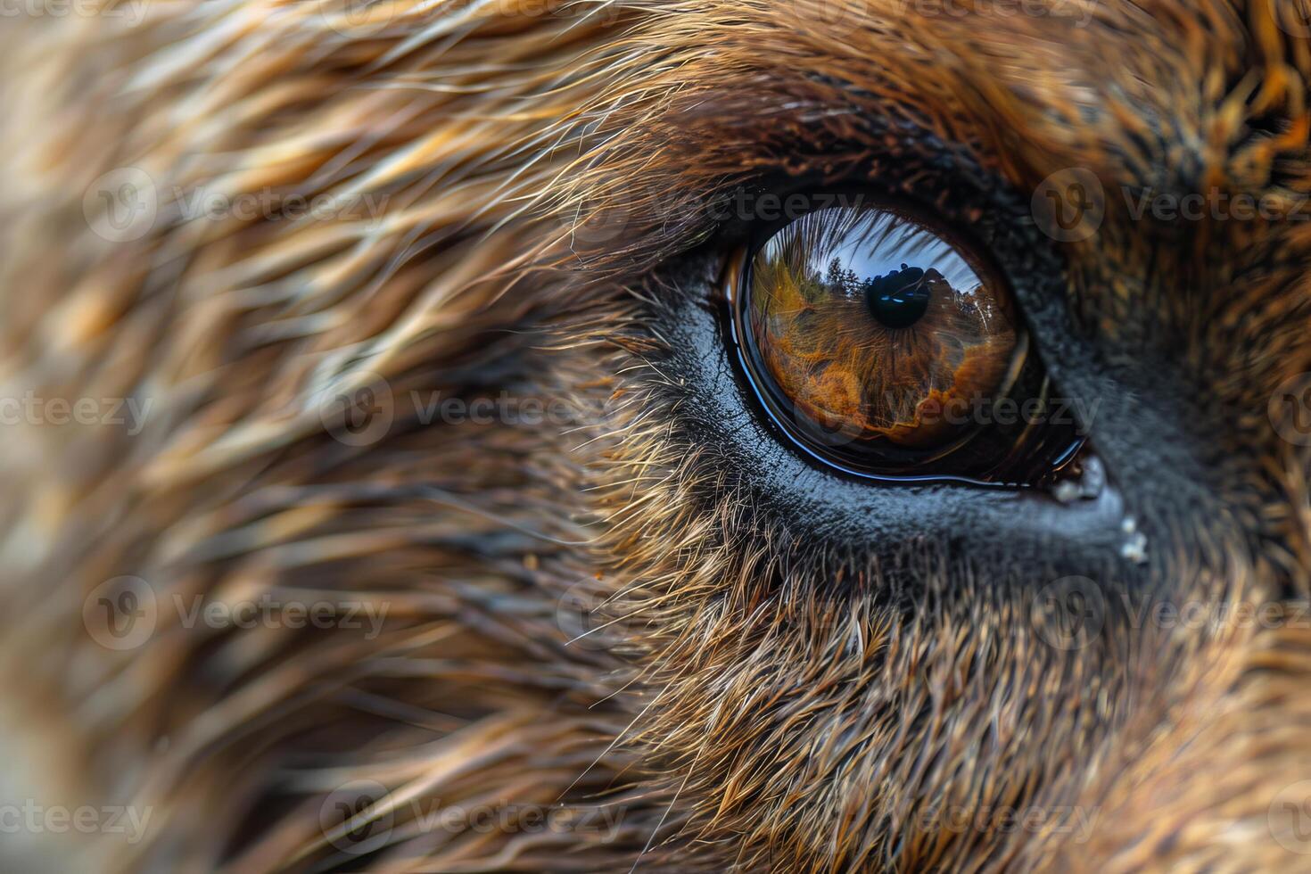 Macro shot capturing the intricate details of an animal's eye and surrounding fur photo