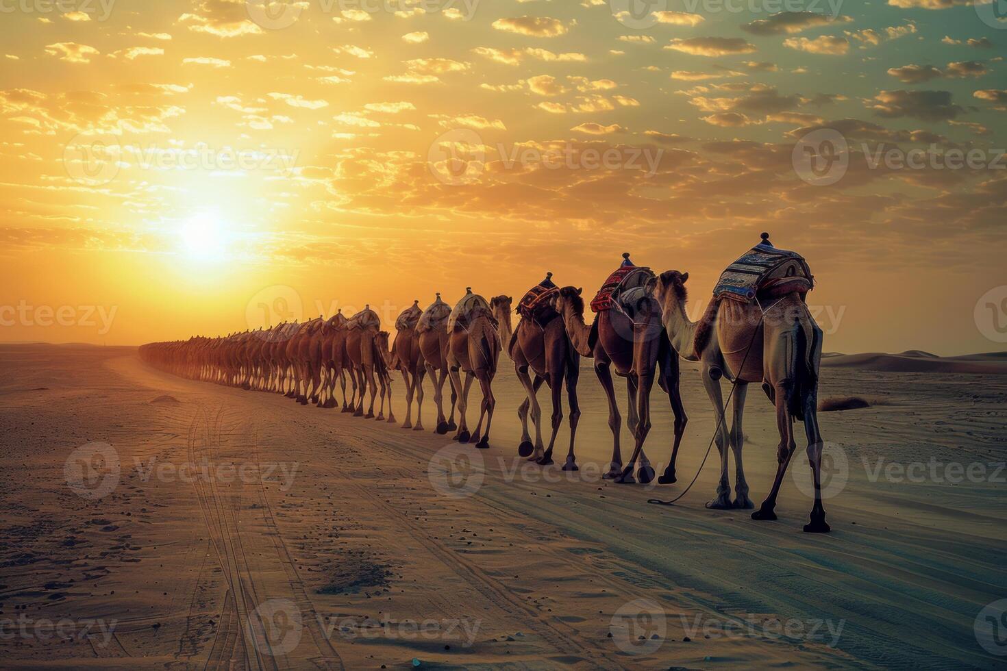 Camel caravan walking in single file through desert at sunset photo