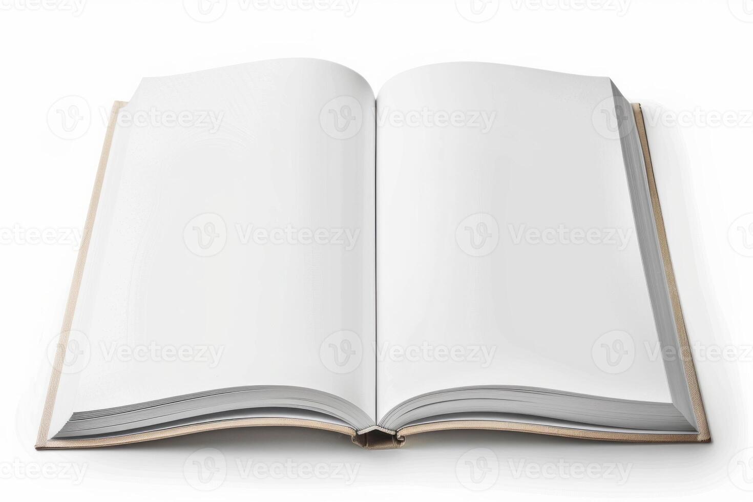 Open book with blank pages on white background photo