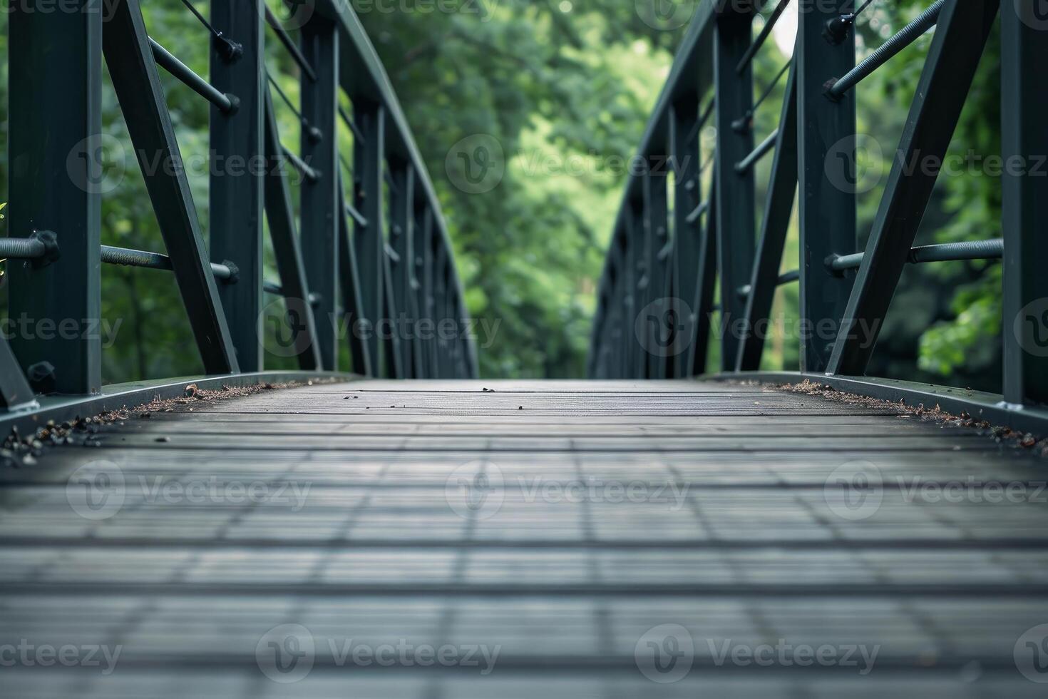Wooden bridge with metal railing leading to green forest photo