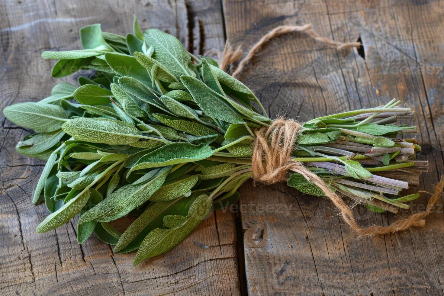 Fresh sage bundle lying on rustic wooden table photo