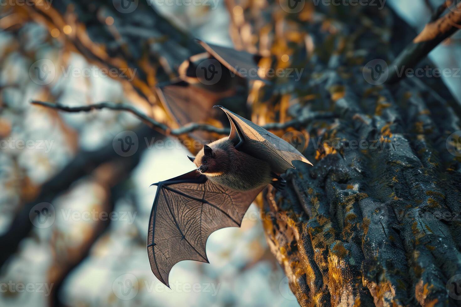 Nocturnal bat hanging on tree at dusk photo