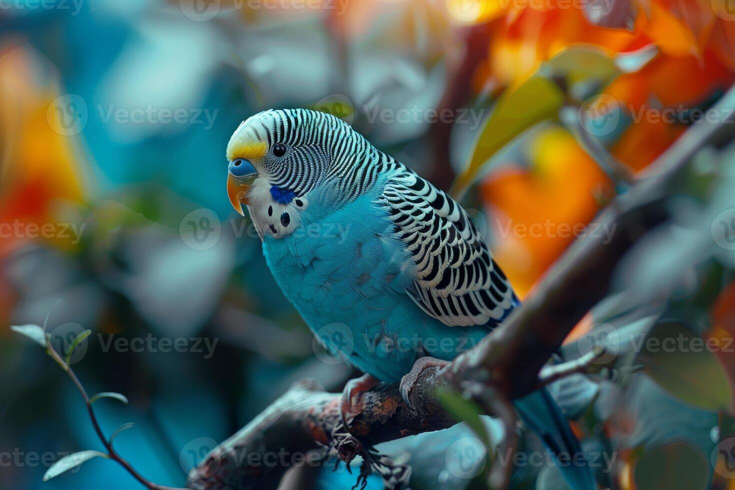 Beautiful blue budgie perched on a branch in a colorful garden photo