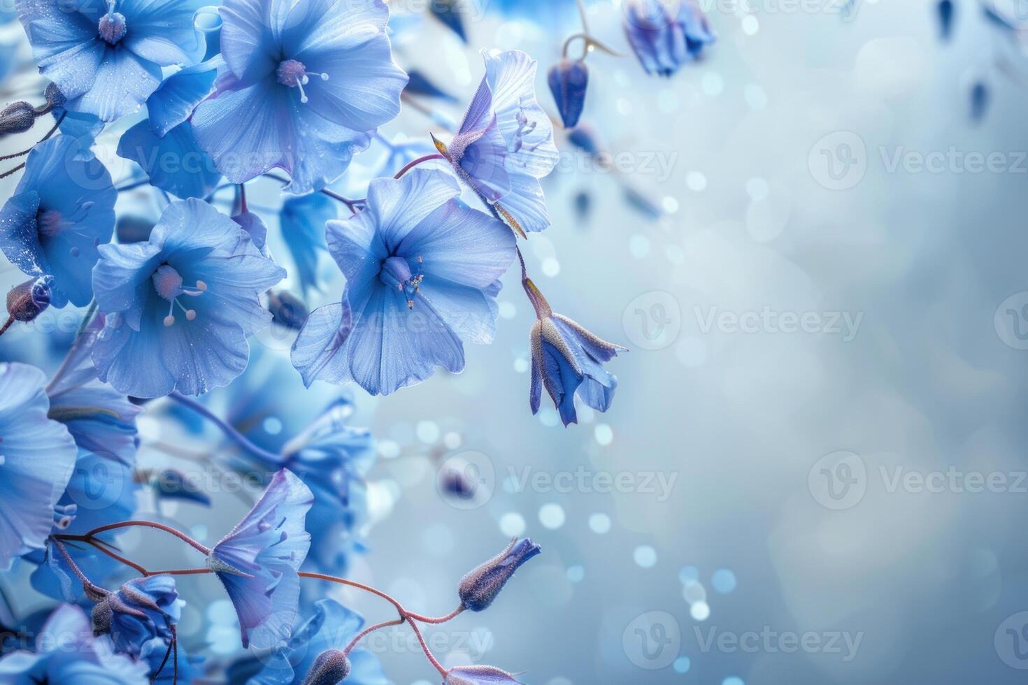 Delicate blue flowers blooming on softly blurred background photo