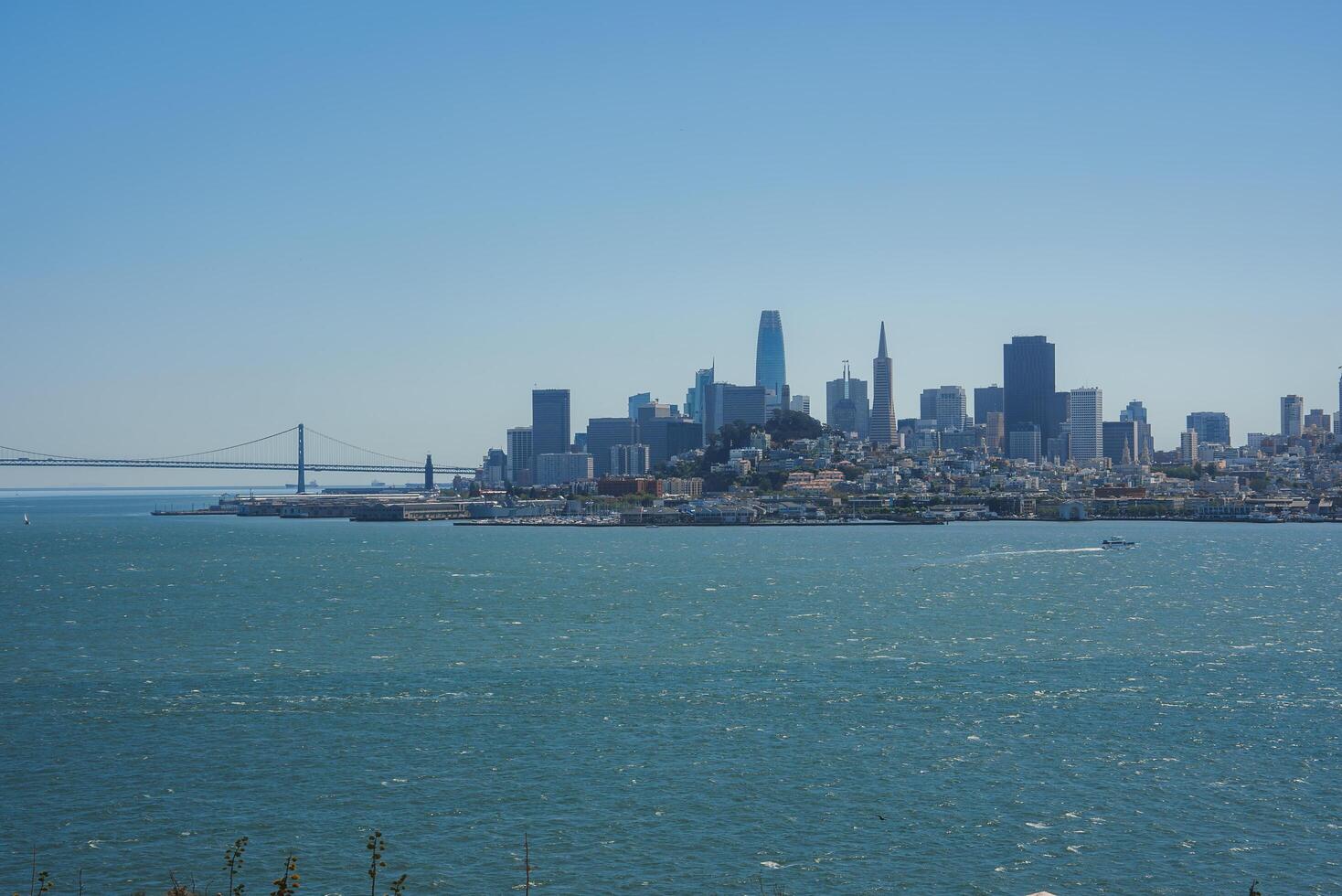 Panoramic view of San Francisco skyline from a vantage point, featuring San Francisco Bay, Bay Bridge, skyscrapers like Salesforce Tower and Transamerica Pyramid, serene atmosphere. photo