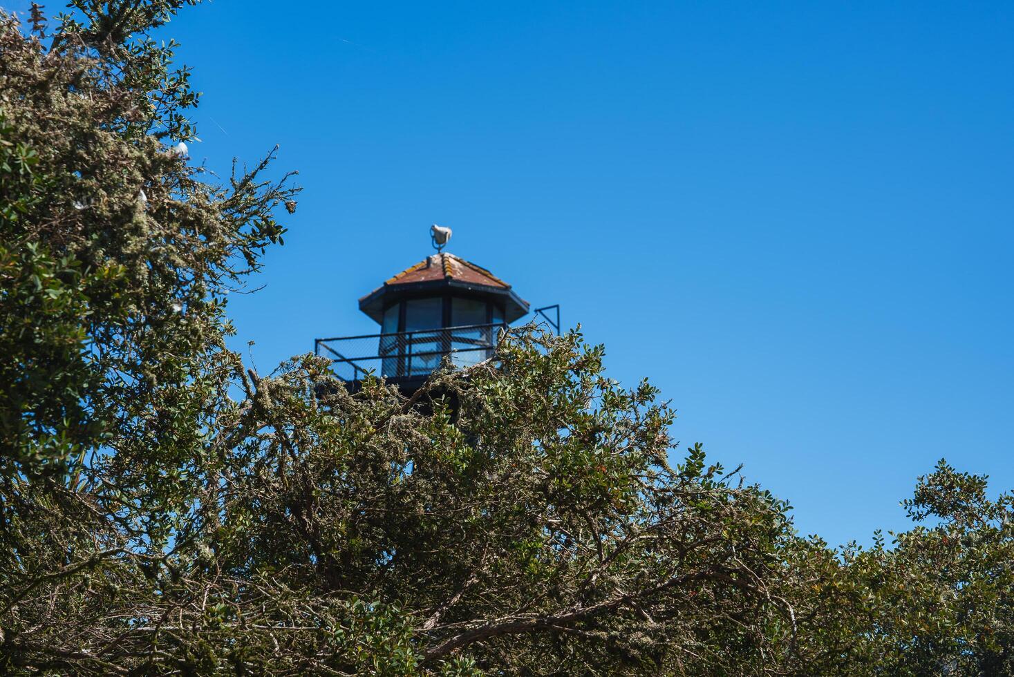 Guard tower at Alcatraz prison, framed by trees. Metal structure with lookout windows, weather vane on top, under blue sky. Tourist spot in San Francisco Bay, USA. photo
