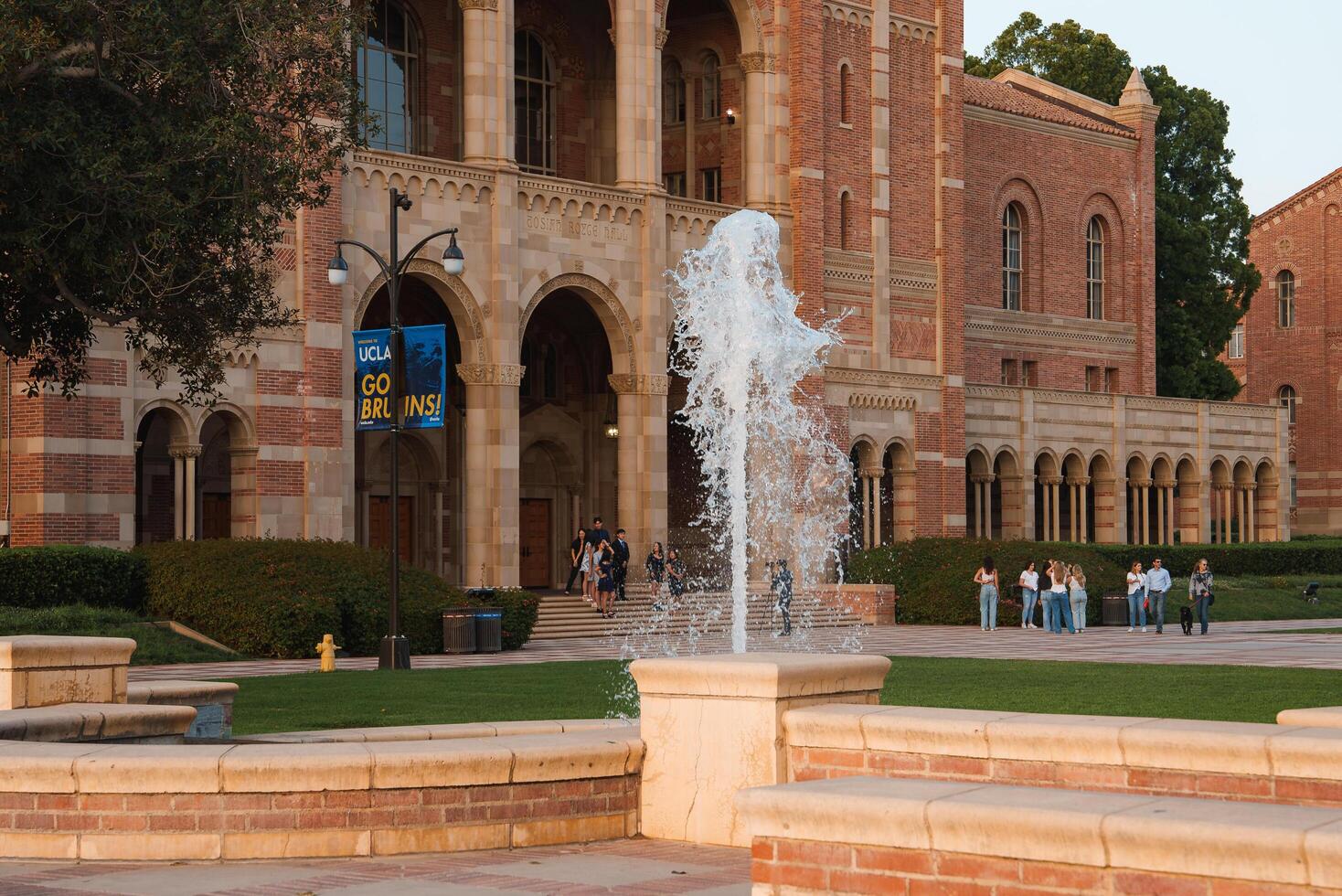 UCLA Bruin Bear on the University of California, Los Angeles, campus. photo