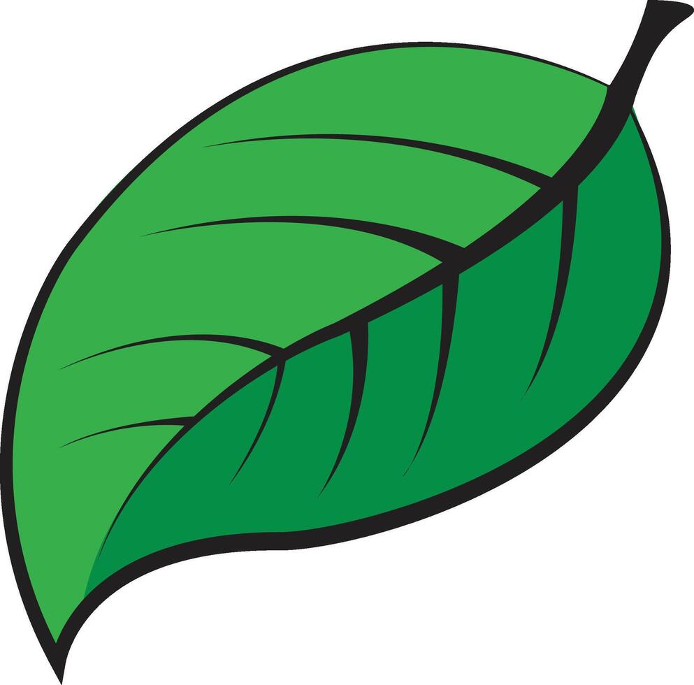 Green Leaf Icon. Leaves icon on isolated background. Elements design for natural, eco, vegan, bio labels vector