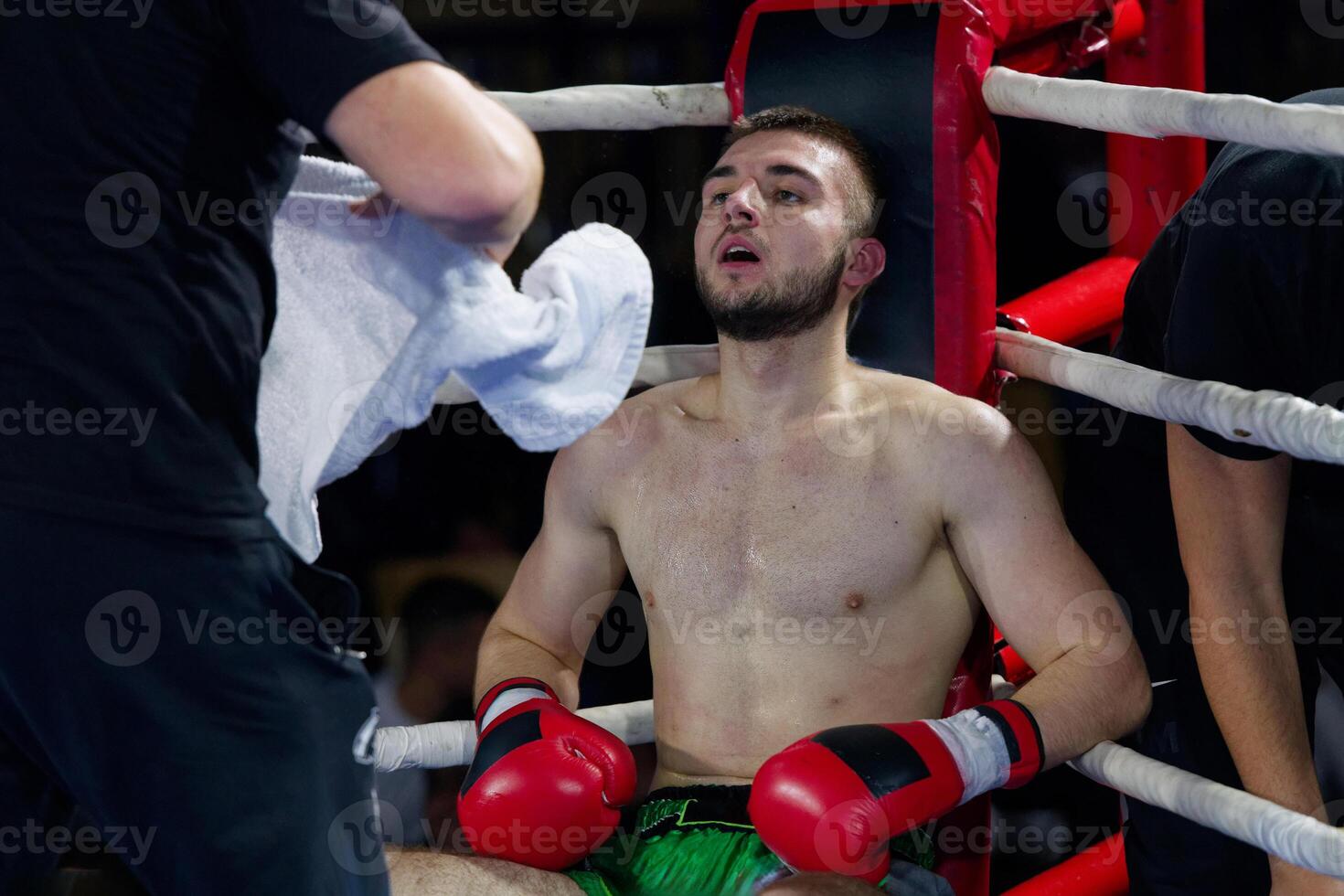 Cornered boxer receives strategic advice from trainer during intense bout. photo