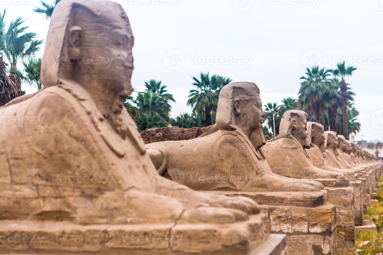 Luxor Temple, Karnak, Egypt. photo