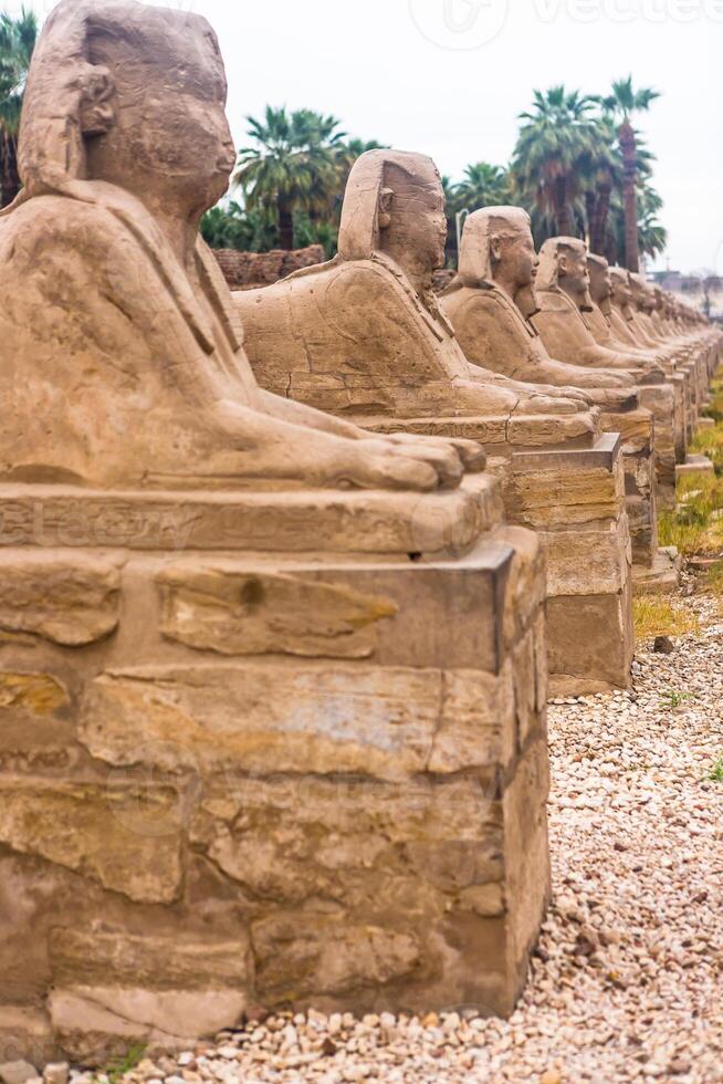Luxor Temple, Karnak, Egypt. photo