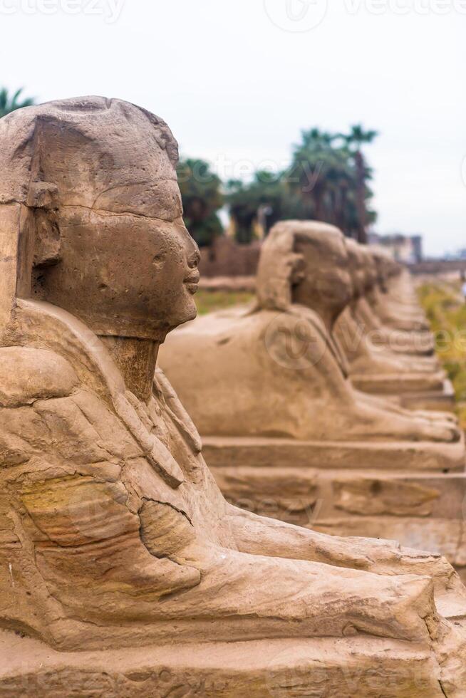 Luxor Temple, Karnak, Egypt. photo
